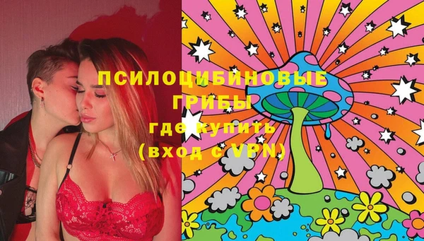 первитин Богданович