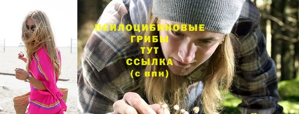 первитин Богданович