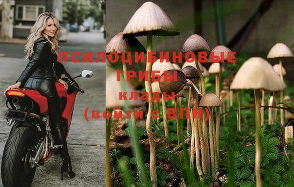 кокаин перу Белокуриха